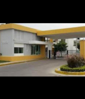 C Brasil